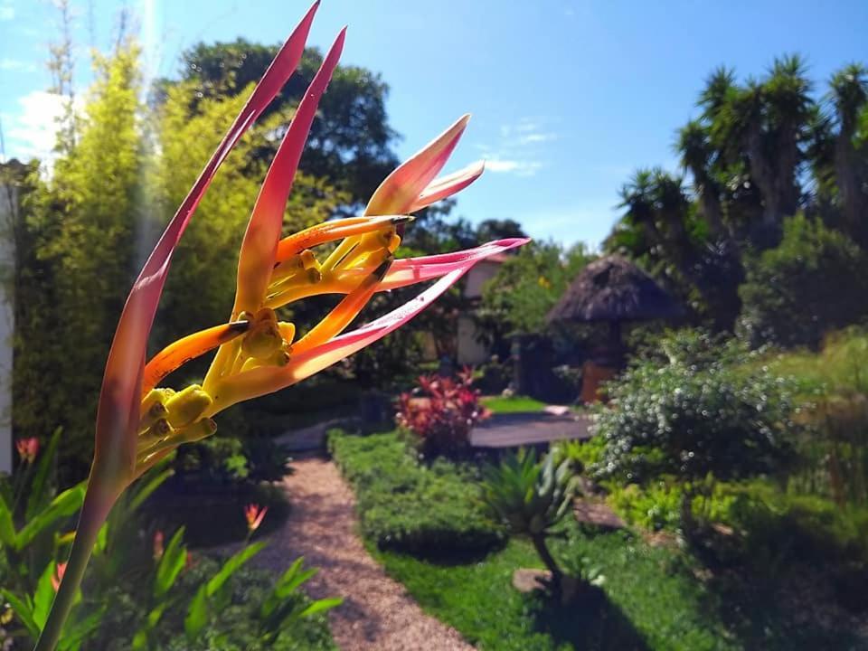 Pousada Paralelo 14 Alto Paraíso de Goiás 외부 사진